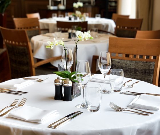 Твое новое любимое место! Самые крутые бранчи тут