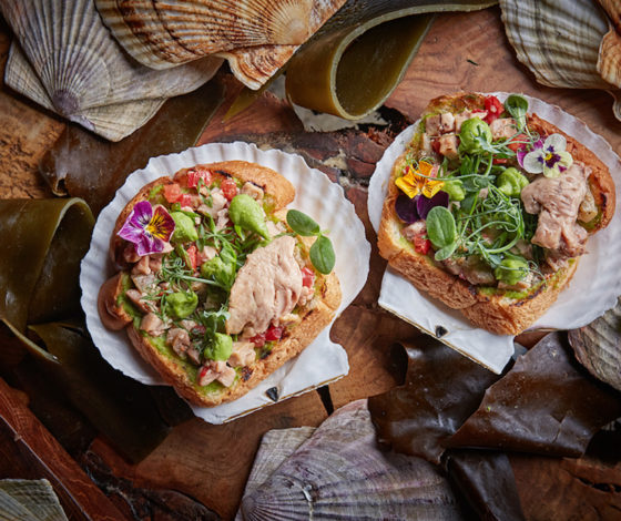 Ресторан Modus: такой чизкейк ты еще не пробовал