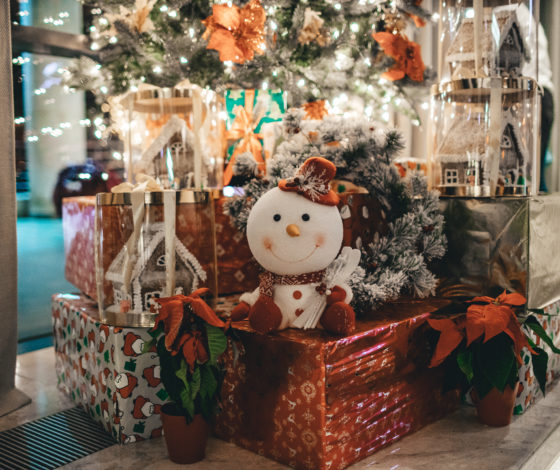 Россиян обяжут устанавливать елки по новым правилам