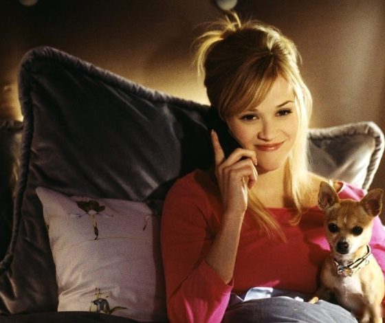 Каникулы дома: рассказываем, чем заняться, чтобы не было скучно