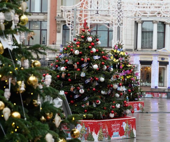 Дизайнеры украсили новогодние елки в Москве