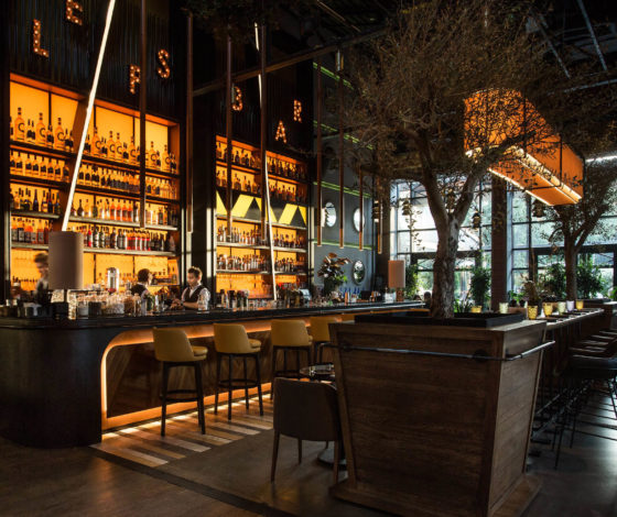 Ресторан Lesnoy: планы на новогоднюю ночь