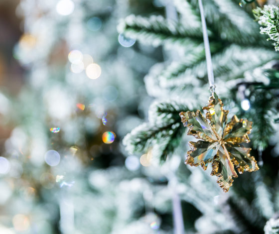 Идея для подарка: Swarovski запускает специальную коллекцию новогодних украшений