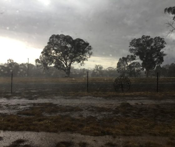 В горящей Австралии начались проливные дожди: рассказываем о ситуации в стране