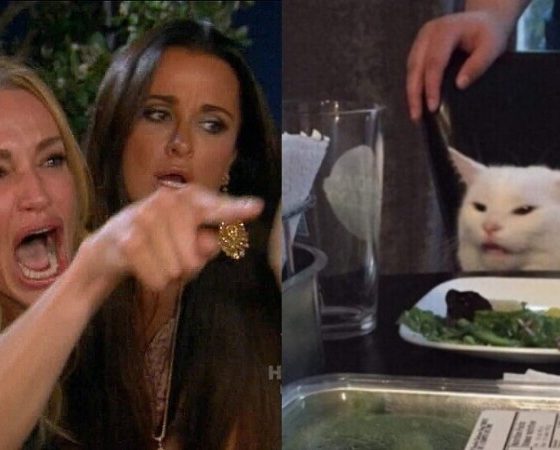 Женщина, кричащая на кота: популярный мем в Twitter 