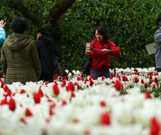 Голландия официально перестала существовать: теперь страну нужно называть Нидерланды