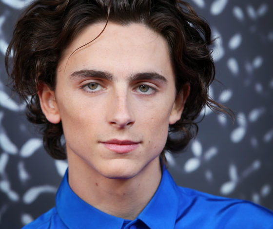 Официально: Тимоти Шаламе сыграет Вилли Вонку в перезапуске картины