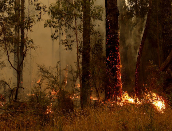 Пока ты спал: топ новостей за 3 — 10 января одной строкой