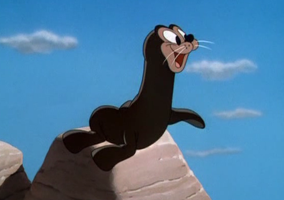 Новый мем в Twitter: человекоподобный тюлень 