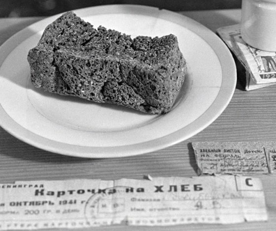 Хвоя, жмых, пыль: волонтеры показали, как выглядел блокадный хлеб