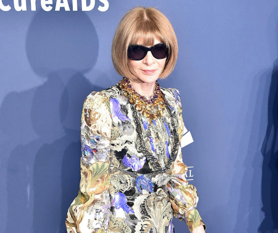 Анна Винтур на благотворительном гала-ужине AmfAr