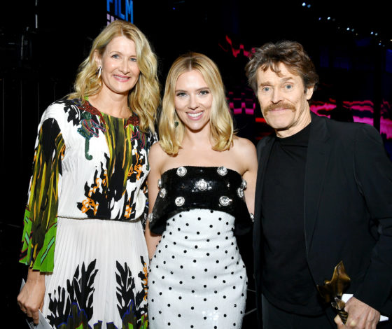 Лора Дерн, Рене Зеллвегер, Скарлетт Йоханссон и другие на церемонии Spirit Awards-2020