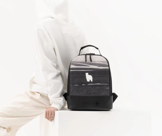 Где купить: стильные рюкзаки из эко-кожи