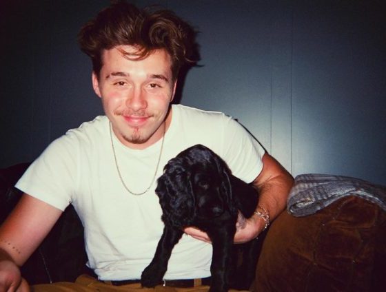 Лучшие друзья человека: топ фотографий звезд с домашними животными