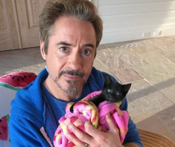 Все из-за коронавирусса: в нью-йорских приютах для животных почти не осталось питомцев