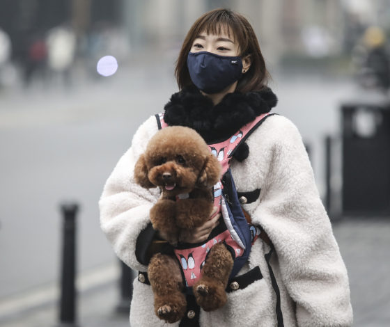 Специалист Минздрава ответила на вопросы о коронавирусе