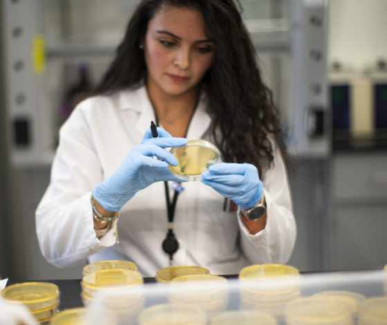 21 мая и коронавирус: 5 миллионов зараженных в мире, 8 тысяч новых инфицированных в России, в Ухане запретили торговлю дикими животными