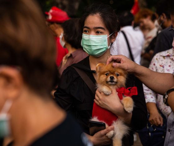 Коронавирус в Москве. Собрали всю информацию: 83 человека на карантине, профилактические меры и Telegram с оперативной информацией