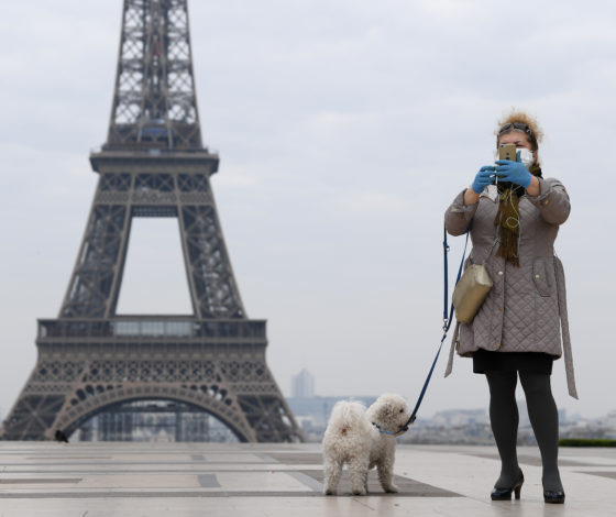 Успешный результат: во Франции протестировали лекарство от коронавируса