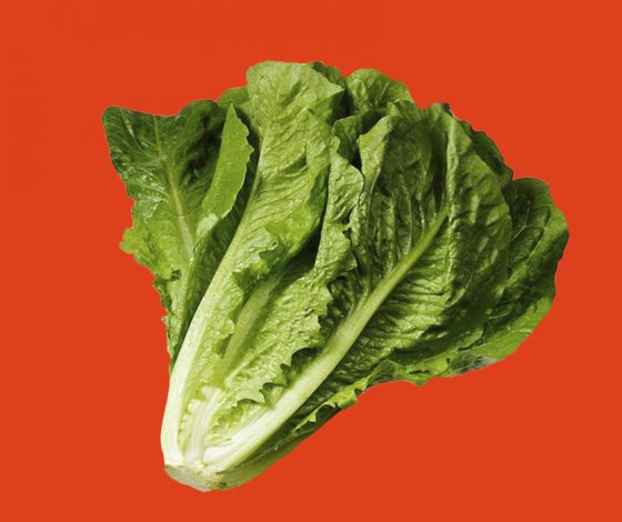 Тест: Ты и ЗОЖ: какие у вас отношения