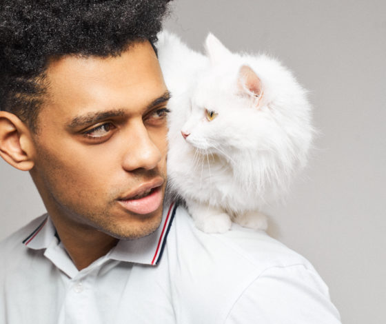 «Любить умеют все»: фотопроект в поддержку животных из приютов