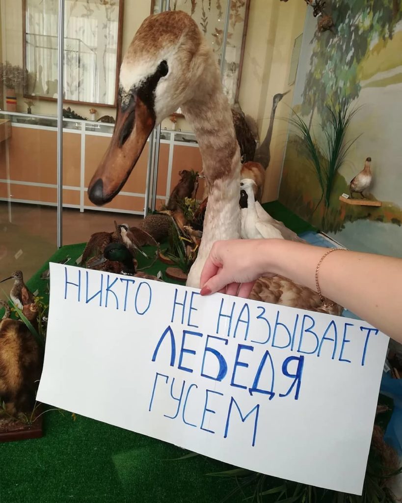 f8f07b72edc65ba8d504eb0002556482