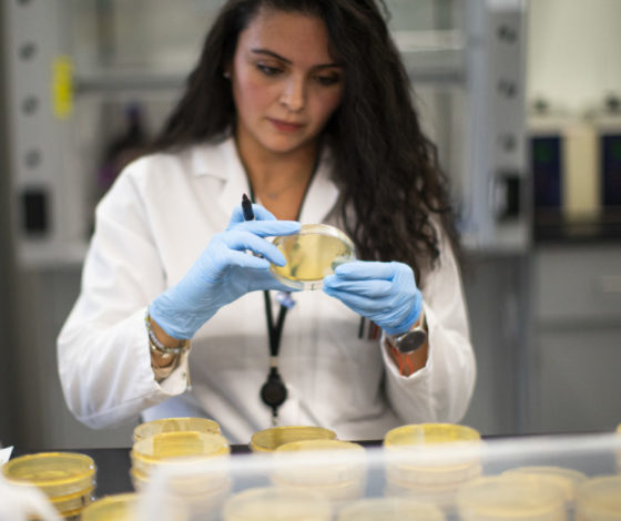 18 апреля и коронавирус: 36 тысяч заболевших в России, названы документы для похода в магазин, ужесточение пропускного режима в Москве