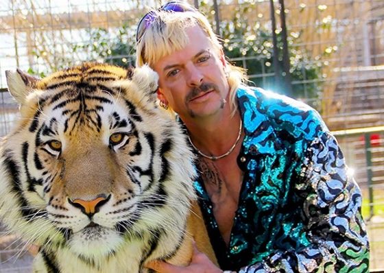 Сериал «Король тигров» бьет рекорды по просмотрам. Собрали мемы в Сети