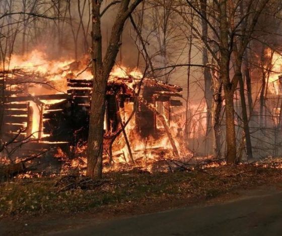 Пожар в Чернобыле: собрали всю информацию