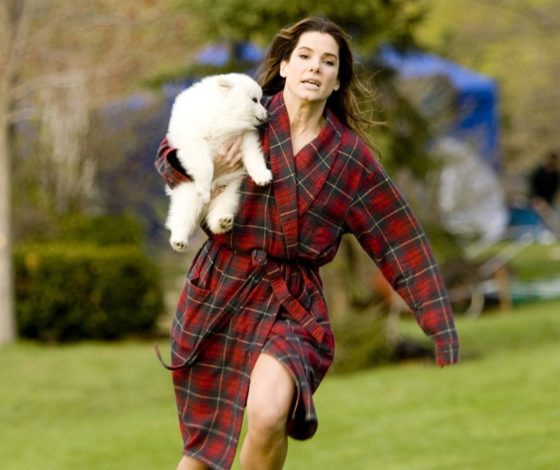 Тест: каким животным ты был в прошлой жизни