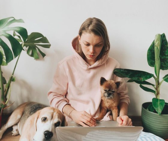 Советы зоопсихолога: вы завели щенка, что делать дальше?