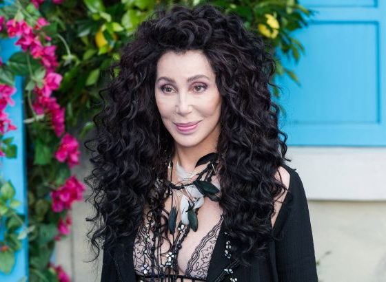 Звезды до и после пластики: Шер