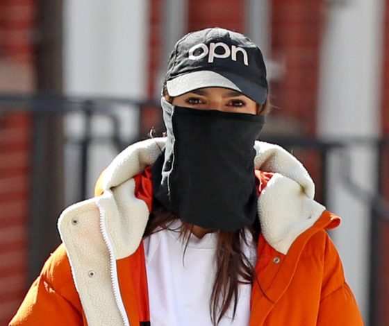 Вместо красных дорожек: топ лучших выходов звёзд на прогулки с собакой