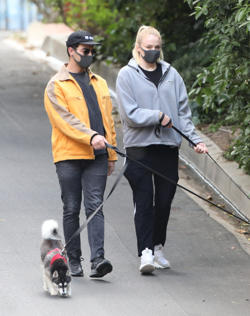 Joe Jonas And Sophie Turner Sport Masks While Their Pups Through Their Gated Community