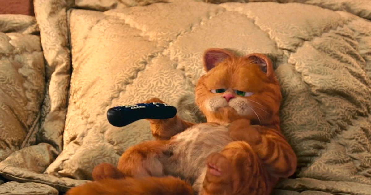 7 most popular cats
