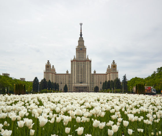 «Дашуля, я правда очень соскучился»: адвокат студентки МГУ раскрыла детали ее переписки с преподавателем