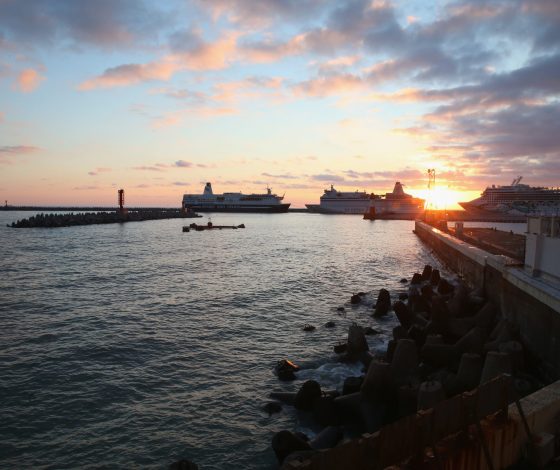 Цифра дня: Сочи этим летом посетило рекордное количество туристов