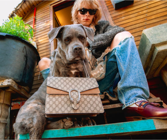 Без фотографов и стилистов: Gucci показали новую рекламную кампанию