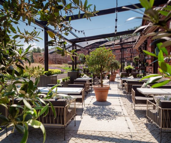 Выходные в Питере: в ресторане KUZNYAHOUSE меню для пикников