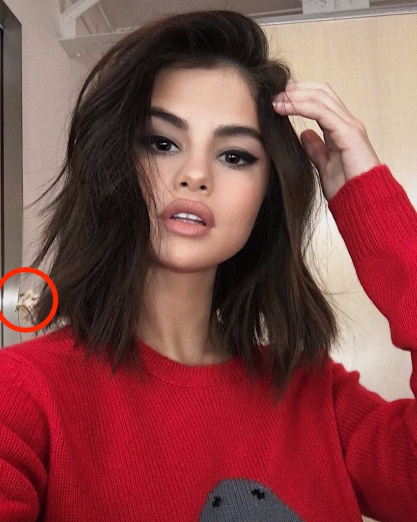 Фото: Instagram / @selenagomez)