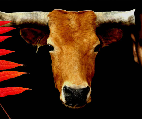 «Земляне»: все о фильме 2005-го, который по требованию «луцкого захватчика» посоветовал смотреть Владимир Зеленский