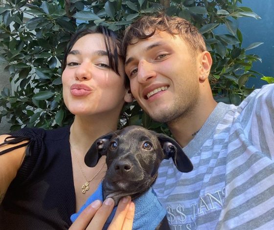 Дэвид Бекхэм, Анна Седокова и другие: собрали топ фото звезд с собаками