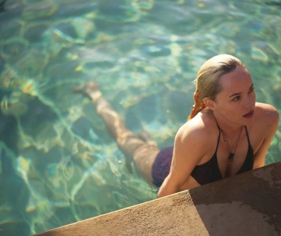 Пляж, бассейн и яхты: новое место в Москве для отдыха