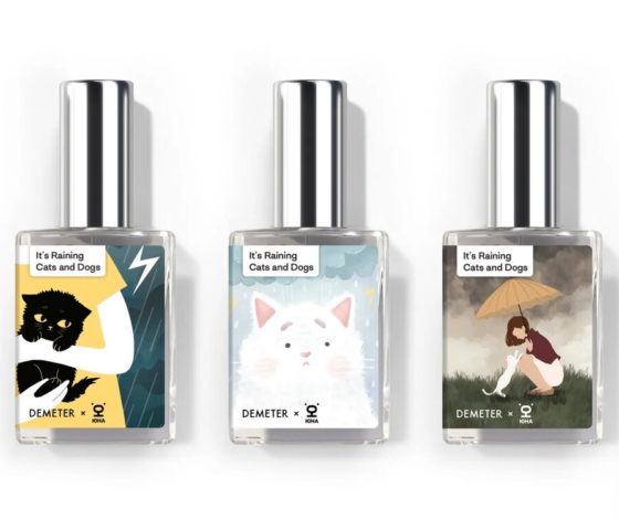 История котенка, который боится грозы: центр реабилитации животных  «Юна» выпустил аромат в защиту животных