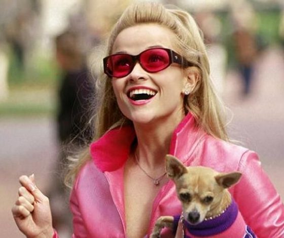 Как проверить пойдет ли тебе блонд