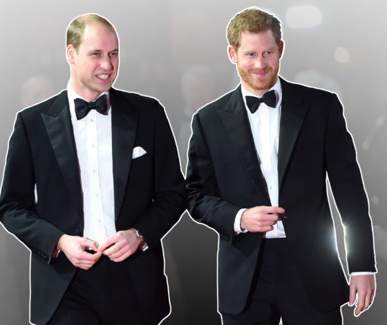 Тест: проверяем, кто из принцев Гарри и Уильяма тебе больше подходит