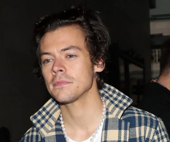 После слухов о помолвке: Гарри Стайлс на свидании с его девушкой