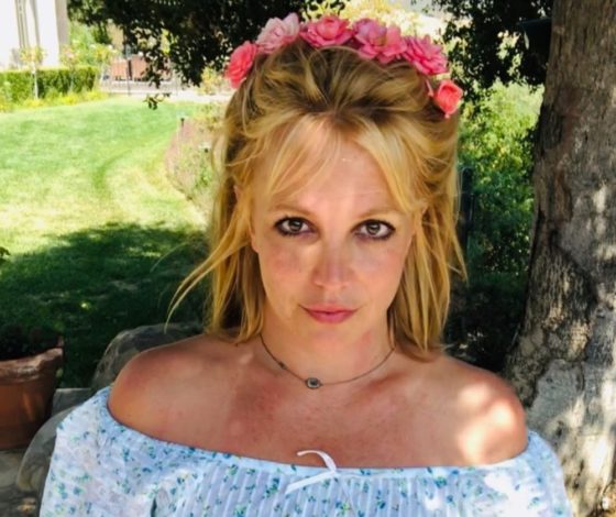 Оставьте ее в покое: поклонники Бритни Спирс считают, что певицу держат в заложниках