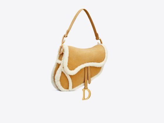 Wishlist для холодов: Dior выпустили обновлённую версию Saddle bag