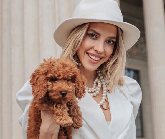 Дорогие питомцы: сколько стоят собаки звезд